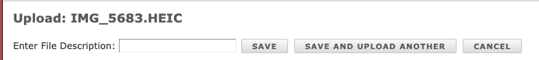 Screen_Shot_2021-08-23_at_1.37.35_PM.png
